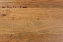 Massive Baumstamm Bank MAMMUT NATURE 160cm Akazienholz 3,5cm dicke Platte