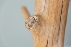 Massiver Garderobenständer TREE NATURE 170cm natur Holz Kleiderständer