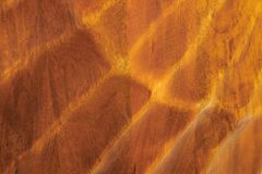 Massiver Nachttisch SCORPION 50cm braun Mangoholz Beistelltisch mit 3D Schnitzereien