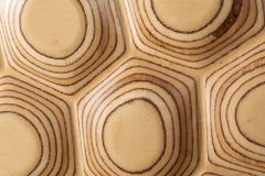 Massives Sideboard ORGANIC LIVING 175cm Mangoholz organisches Design