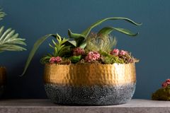 Handgearbeitete Deko Schale ORIENT 31cm gold mit Patina im Classic Hammerschlag Design