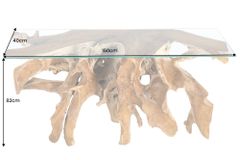 Massiver Konsolentisch ROOT 150cm natur Teak Massivholz aus Wurzelholz Glasplatte
