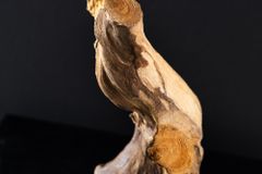 Massives Teakholz Ornament FLAME 30-40cm Treibholz Dekoration