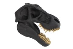 Extravagante Wanddekoration T-REX 40cm schwarz handmade Dinosaurier-Kopf