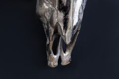Design Schädel MATADOR 70cm silber Aluminium Wanddekoration