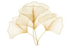 Elegante Wanddeko GINKGO 90cm gold in filigraner Blattform
