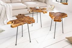 Einzigartiger Beistelltisch WILD 40cm Teakholz Baumscheibe Couchtisch