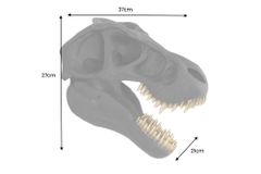 Extravagante Wanddekoration T-REX 40cm schwarz handmade Dinosaurier-Kopf