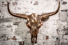 Design Schädel MATADOR 70cm kupfer geflammt Aluminium Wanddekoration