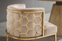 Stilvoller Stuhl ELEGANCE cappuccino Samt gold Edelstahl mit Armlehne