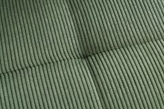 Moderner Design Stuhl TRES CHIC grün Cord schwarze Metallbeine Esszimmer