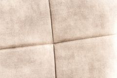 Moderner Sessel SCANDINAVIA champagner beige Samt schwarze Metallbeine mit Armlehne