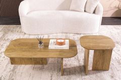 2er Set Couchtische GATSBY 100cm braun Mangoholz organische Form Beistelltisch