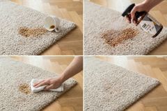 Teppichreiniger OA CARPET CARE 500ml PFC und VOC frei Tiefenreiniger für Textilboden