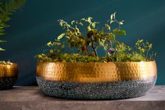 Handgearbeitete Deko Schale ORIENT 52cm gold mit Patina im Classic Hammerschlag Design