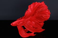 Design Deko Figur Kampffisch CROWNTAIL 35cm rot Betta Fisch Skulptur