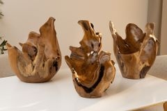 Einzigartige Schale ORGANIC 40cm natur Teak aus Wurzelholz