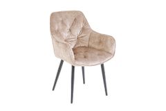 Design Stuhl MILANO champagner beige Samt mit Armlehne gepolstert schwarze Metallbeine