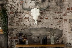 Imposanter Büffelschädel EL TORO 70cm natur massives Aluminium
