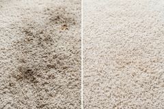 Teppichreiniger OA CARPET CARE 500ml PFC und VOC frei Tiefenreiniger für Textilboden