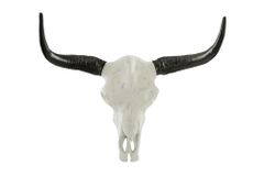Imposanter Büffelschädel EL TORO 70cm natur massives Aluminium