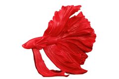 Design Deko Figur Kampffisch CROWNTAIL 35cm rot Betta Fisch Skulptur