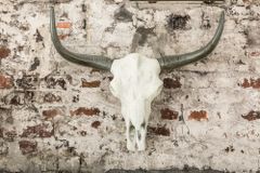 Imposanter Büffelschädel EL TORO 70cm natur massives Aluminium