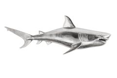 Maritime Wanddekoration HAI 105cm silber rechts Metall Haifisch Design Skulptur