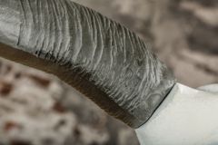 Imposanter Büffelschädel EL TORO 70cm natur massives Aluminium