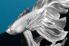 Design Deko Figur Kampffisch CROWNTAIL 35cm silber Betta Fisch Skulptur