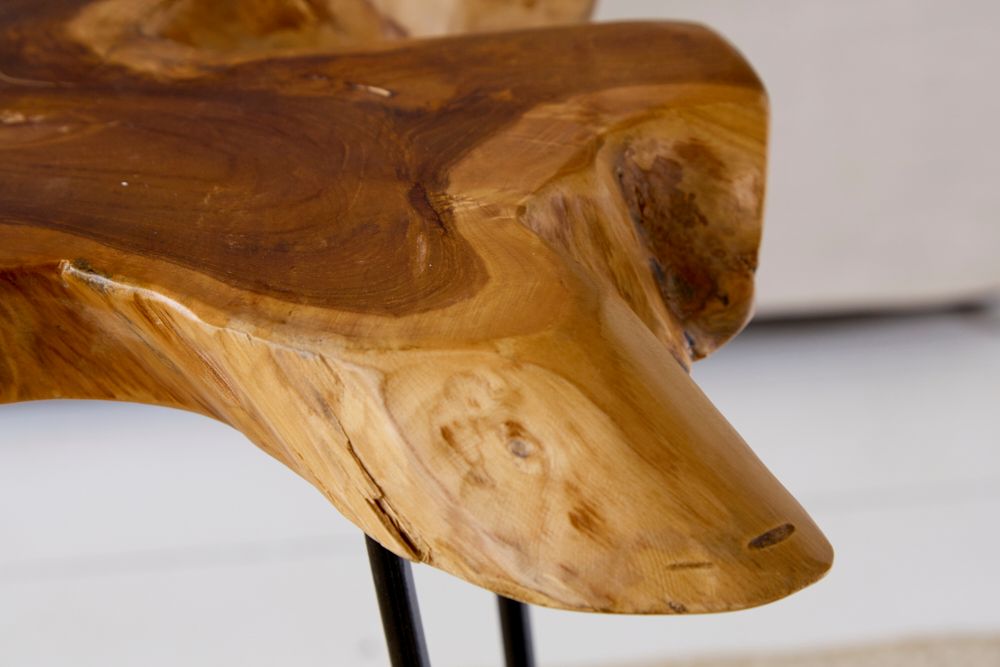 Einzigartiger Beistelltisch WILD 60cm Teakholz Baumscheibe Couchtisch