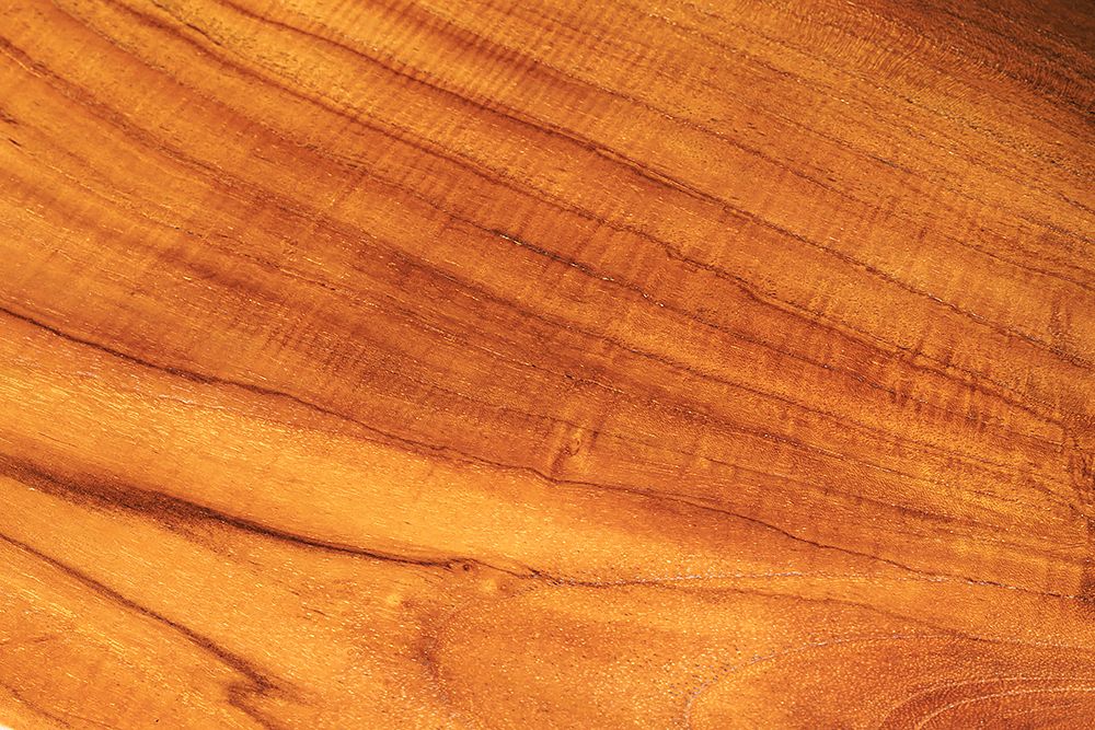 Massive Bank ROOT 100cm braun natur Teakholz Baumstamm Holzstrebe