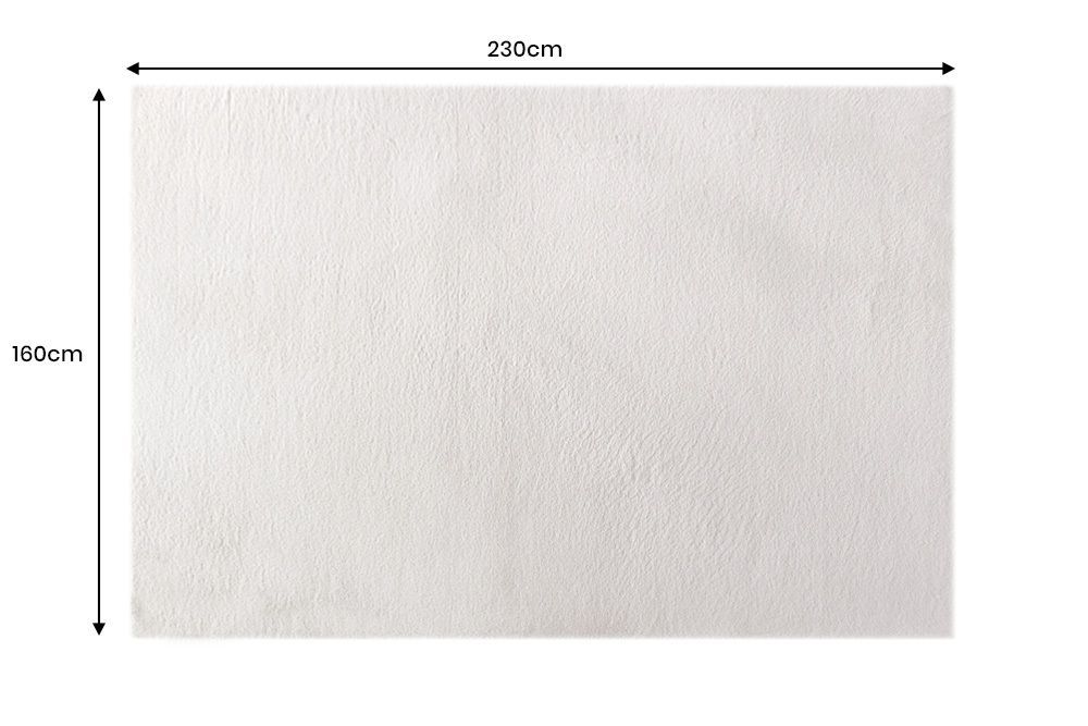 Moderner Teppich COZY CLOUD 230x160cm creme Hochflor Indoor-Teppich Felloptik