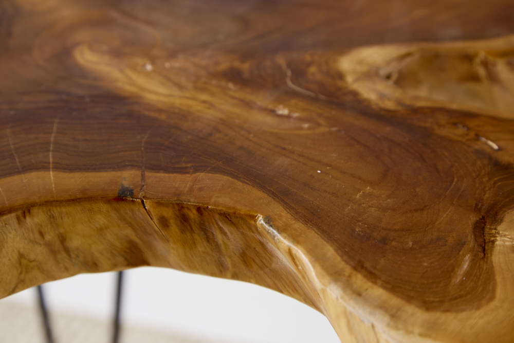 Einzigartiger Beistelltisch WILD 60cm Teakholz Baumscheibe Couchtisch