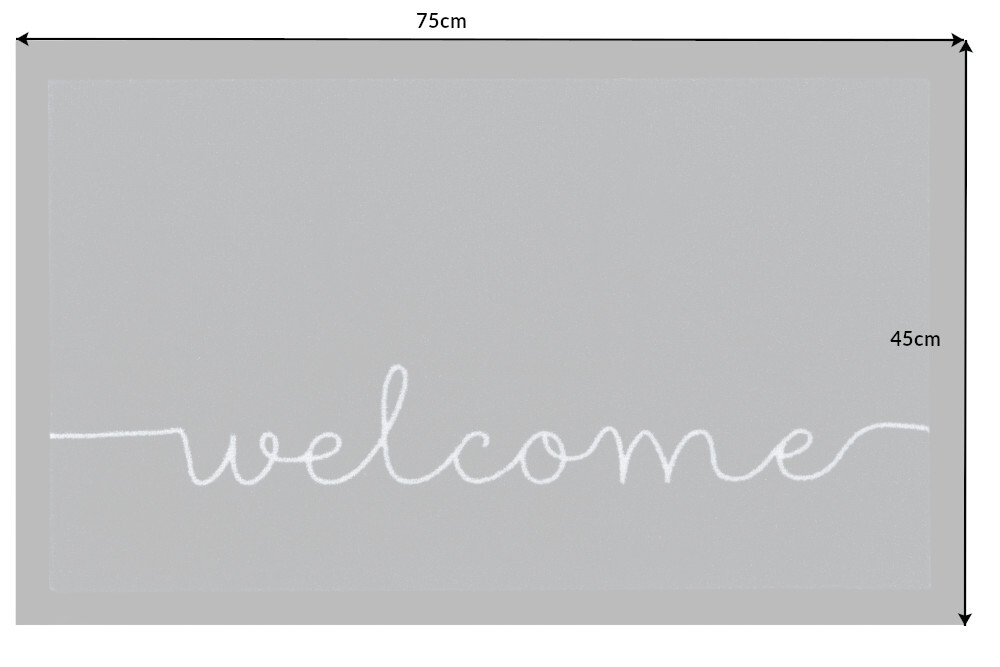 Strapazierfähige Fußmatte CLEAN WELCOME 75x45cm Fußabtreter anthrazit