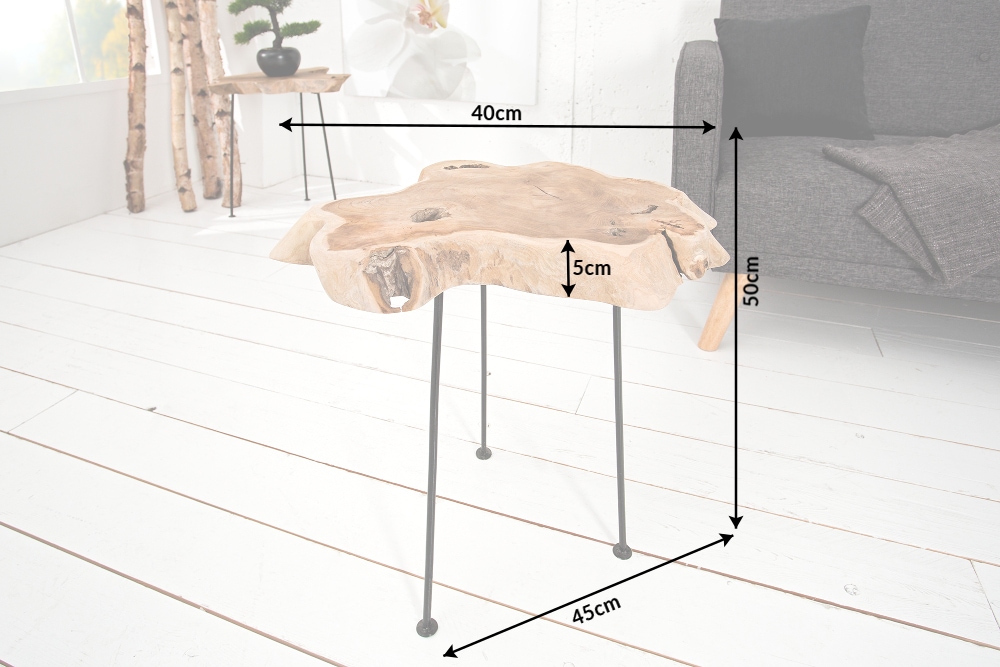 Einzigartiger Beistelltisch WILD 40cm Teakholz Baumscheibe Couchtisch