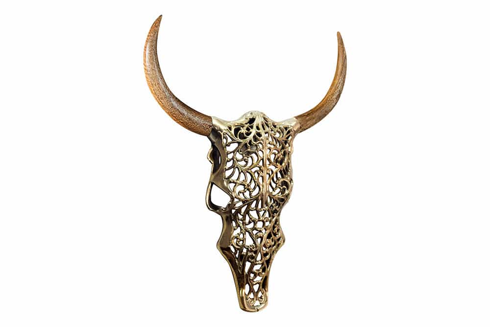 Extravagante Wanddekoration EXOTIC BULL 60cm gold Mangoholz Stierkopf